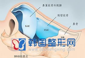 伊维兰隆鼻 给你不一样的美丽