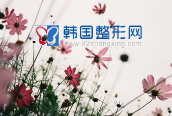 上班族如何保持苗条身材？（三）